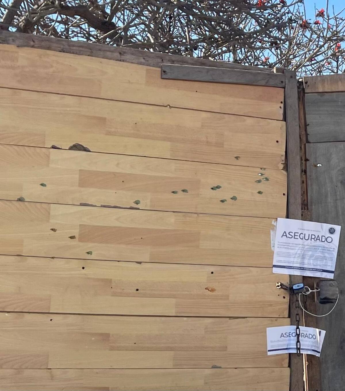 Foto: Carmen Gutiérrez