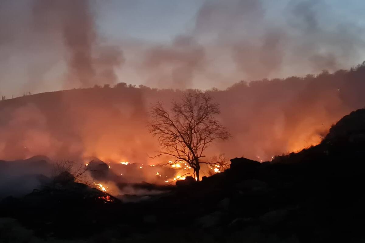 Se registra incendio en terreno al poniente del fraccionamiento La Campiña