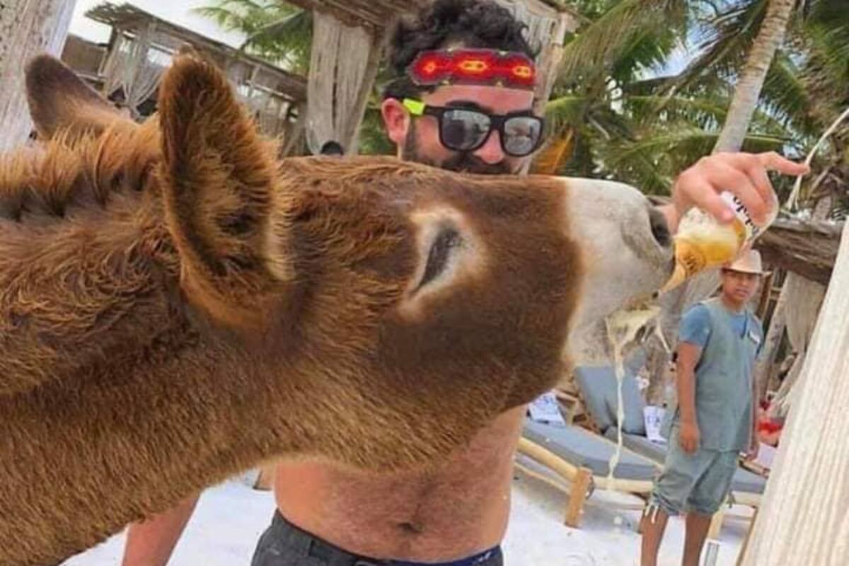 Hotel en Tulum ofrece a burro como atractivo para que lo emborrachen