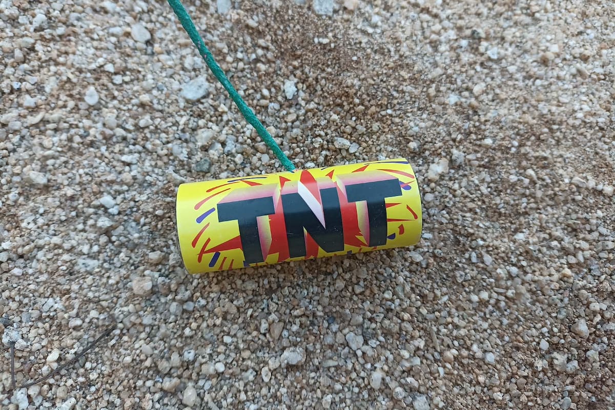 Animalistas aconsejan sobre cuidados de mascotas por uso de pirotecnia