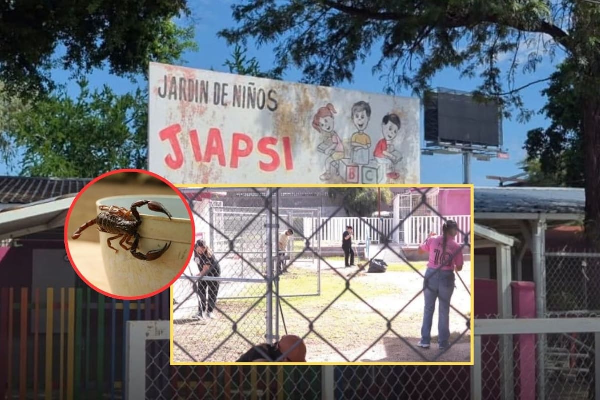 Preescolar Jiapsi de Hermosillo seguirá con clases a distancia por alacranes mientras la SEC prepara una tercera fumigación