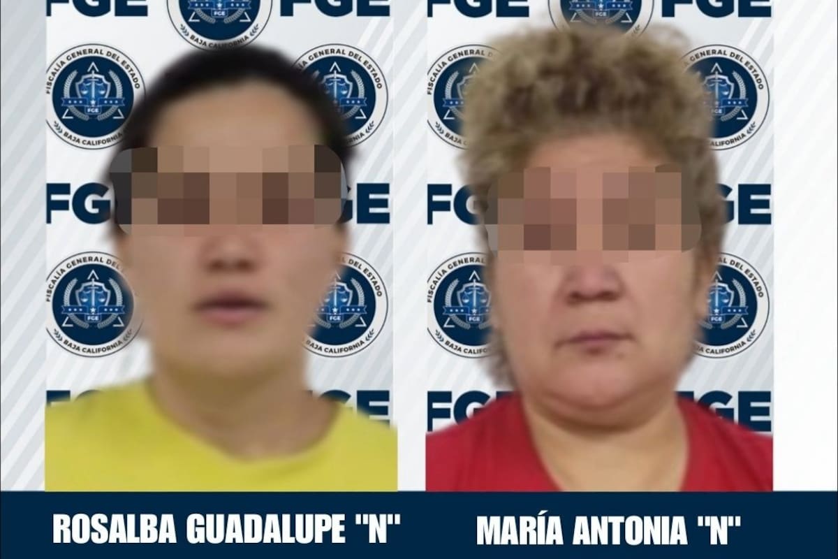 Catean domicilio en Tecate y aseguran plantas de marihuana