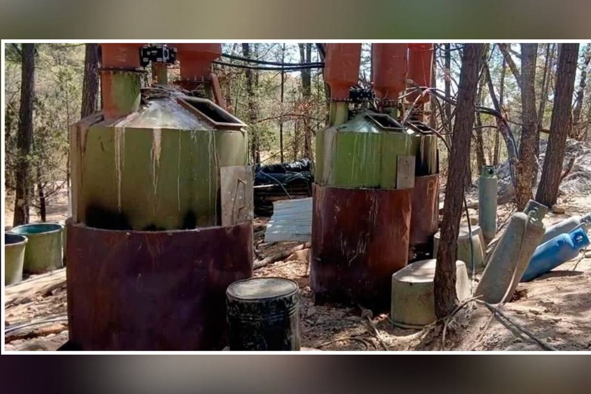 Desmantelan narcolaboratorio del Cartel de Sinaloa de 39.5 Hectáreas en Zacatecas
