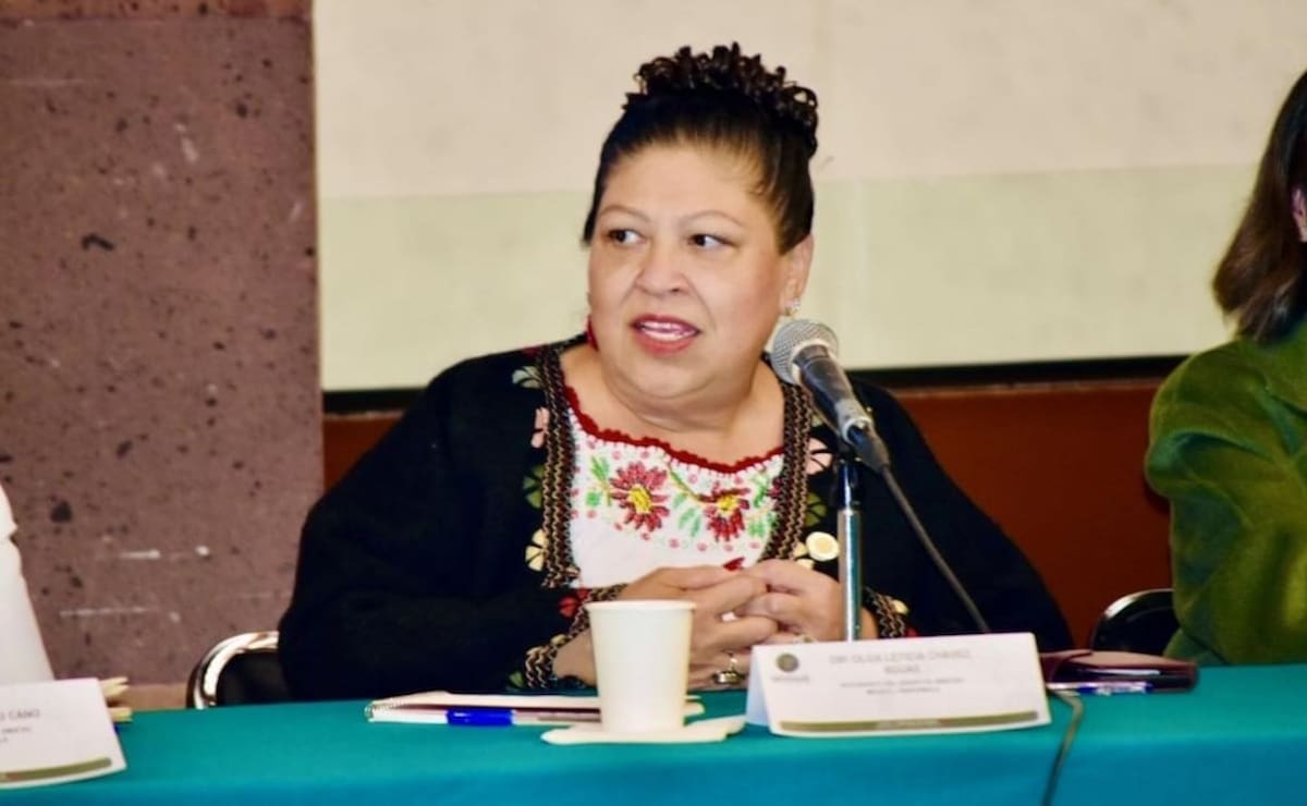 Diputada Leticia Chávez Rojas, de Morena. | Crédito: El Universal/Especial