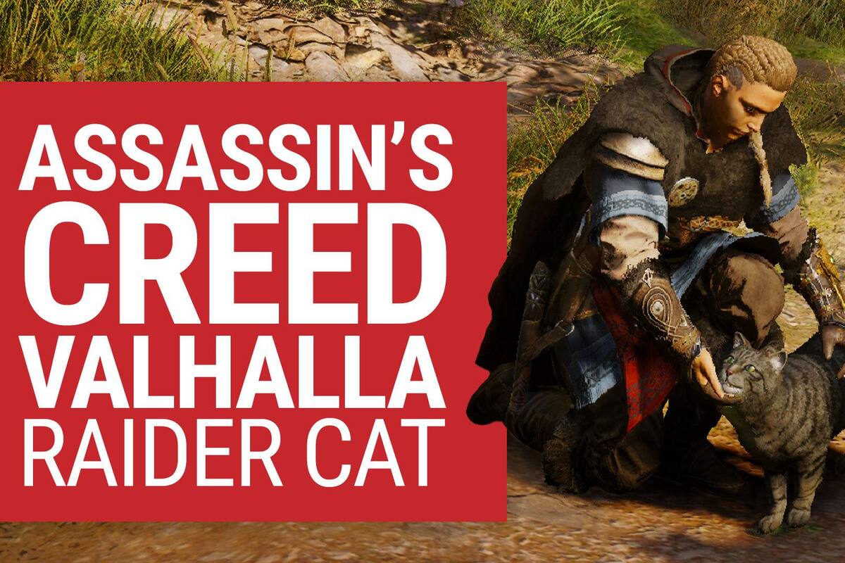 Assassin's Creed Valhalla: recluta un gato para tu tripulación