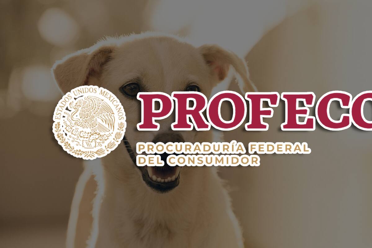 Con estas croquetas puedes cuidar la dieta y salud de tu perro, según estudio de la Profeco