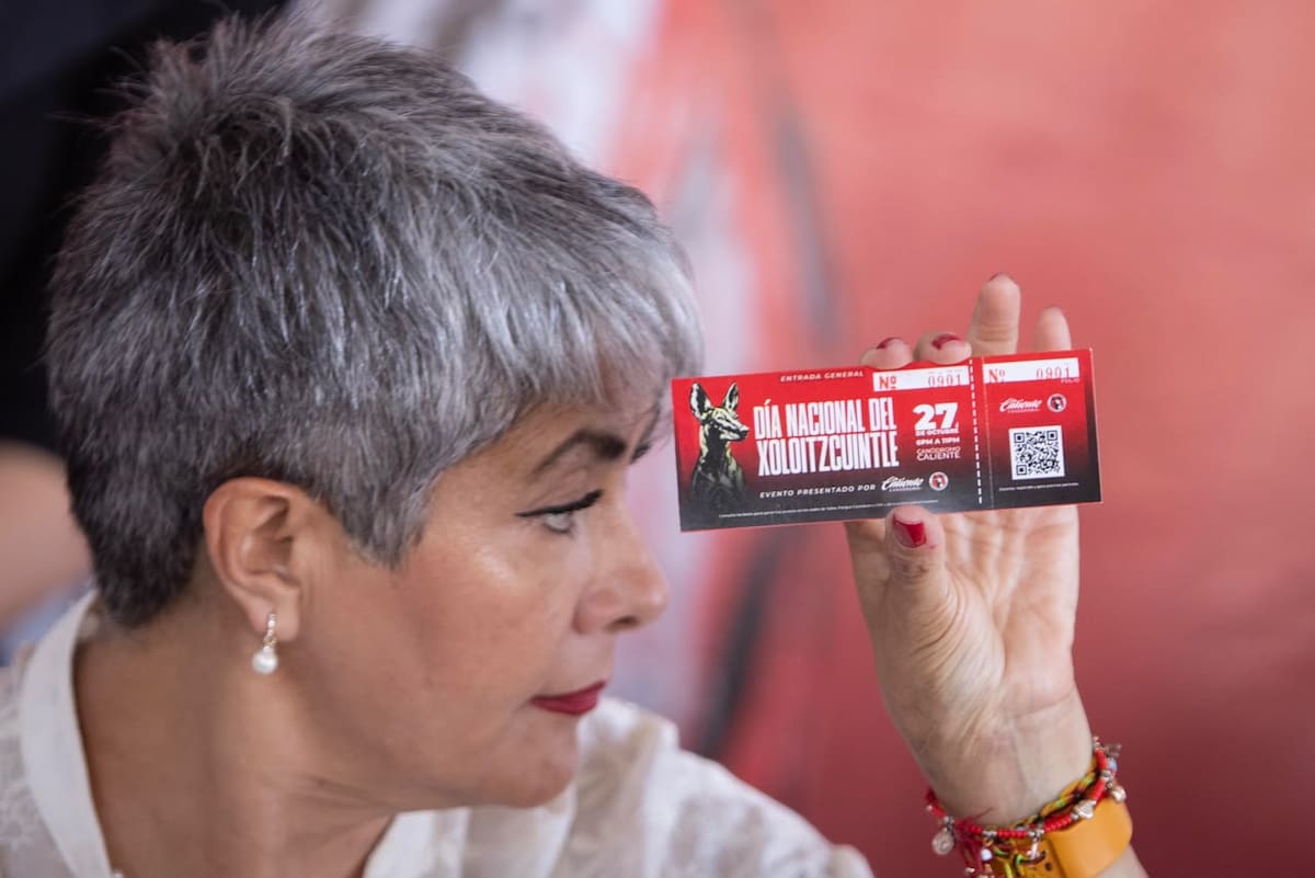 El festejo del Día Nacional del Xoloitzcuintle será el 27 de octubre, de 18:00 a 23:00 horas, en el Canódromo Caliente de Tijuana. La entrada será gratuita, con registro previo, y habrá carreras, yoga canino, alberca para perros y charlas sobre esta raza mexicana. Foto: Cortesía / Border Zoom