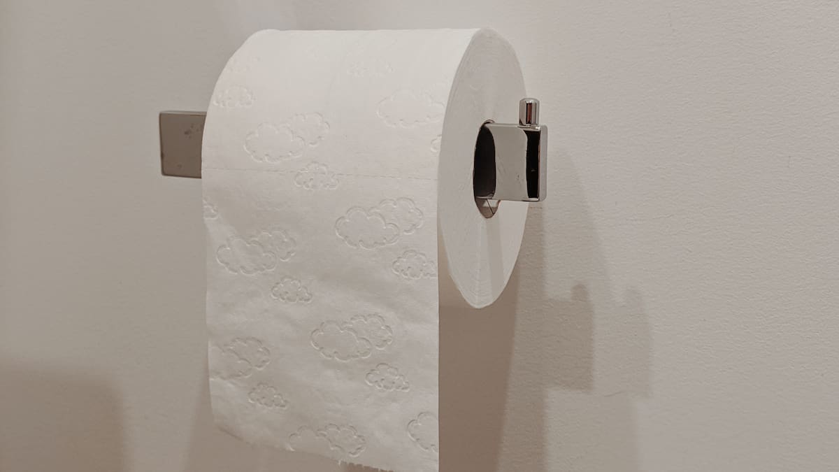 El papel higiénico debe colocarse con la hoja hacia afuera, no pegada a la pared, para evitar la acumulación de bacterias y facilitar su uso/Foto: Canva