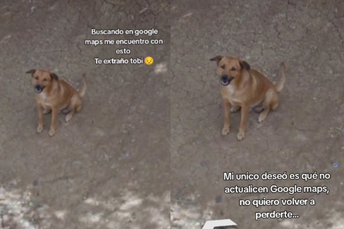 “No quiero volver a perderte”: Mujer no quiere que actualicen a Google Maps para dejar de ver a su perro fallecido