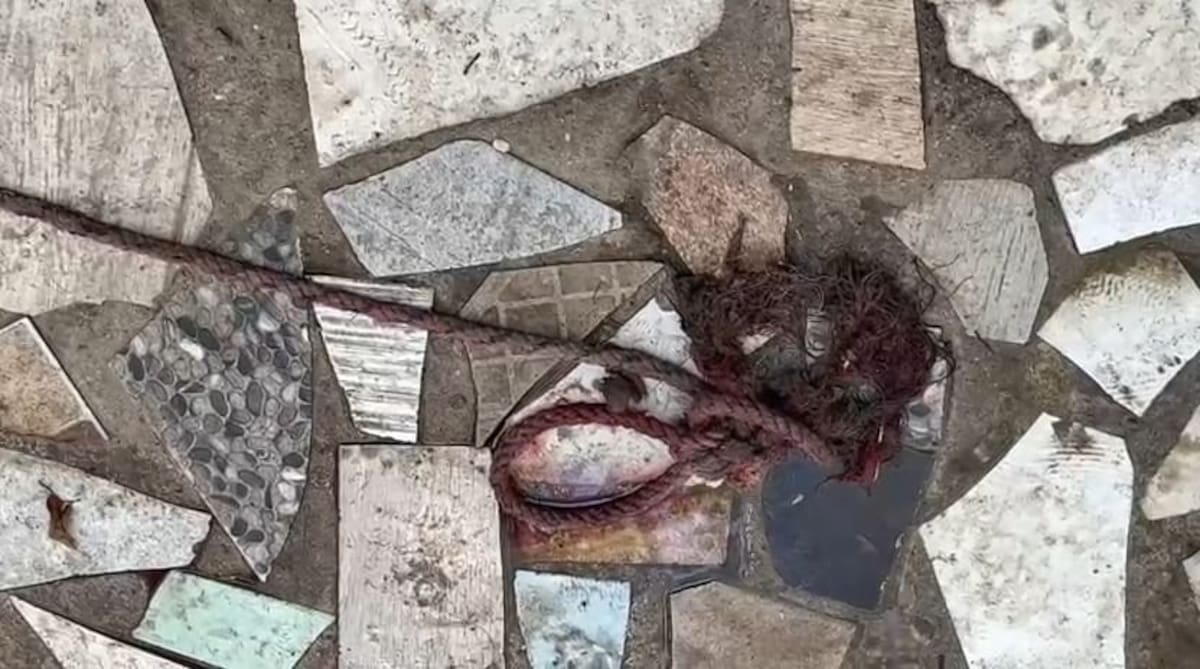 Un migrante fue víctima de un intento de asesinato en la colonia Nueva Esperanza; activistas exigen a autoridades reforzar seguridad y atender la vulnerabilidad de personas en contexto de movilidad. Foto:Khennia Reyes