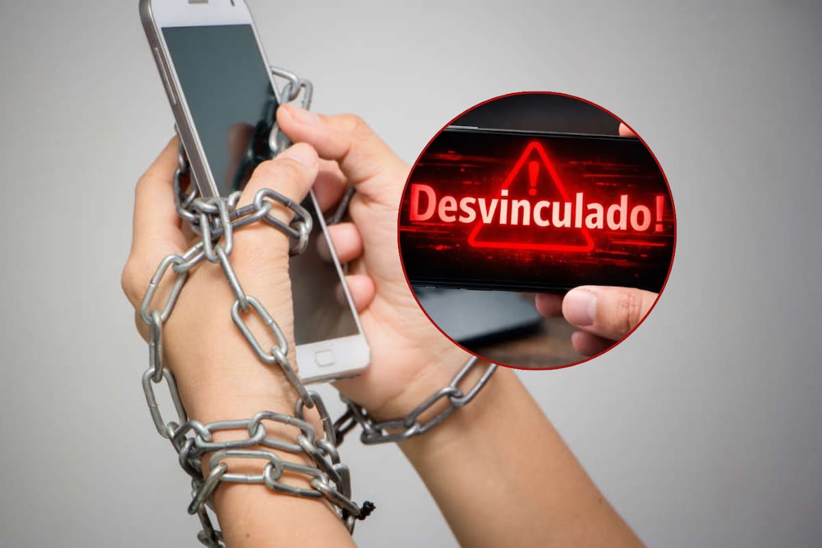¿Cómo desvincular tu número del Padrón de Telefonía Móvil en línea? Guía paso a paso para usuarios en México
