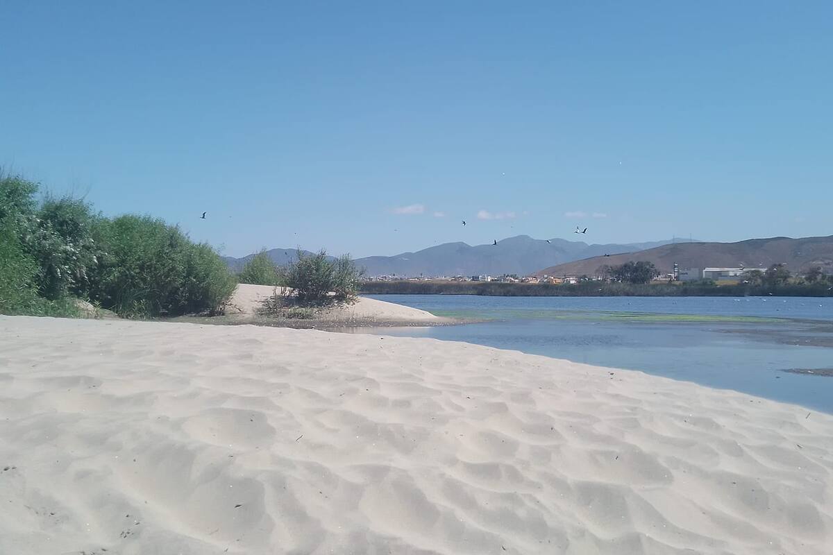 Pro Esteros llevará jornada de limpieza al Arroyo Ensenada