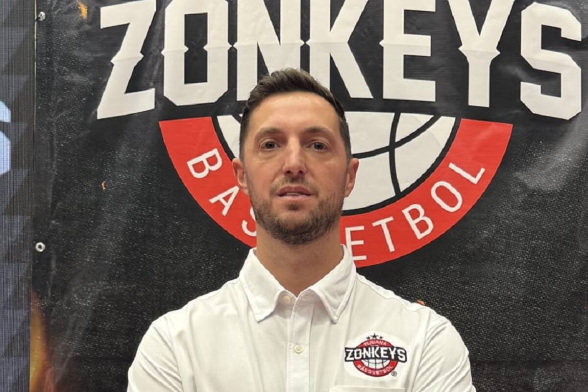 Dará Gatti dirección a Zonkeys