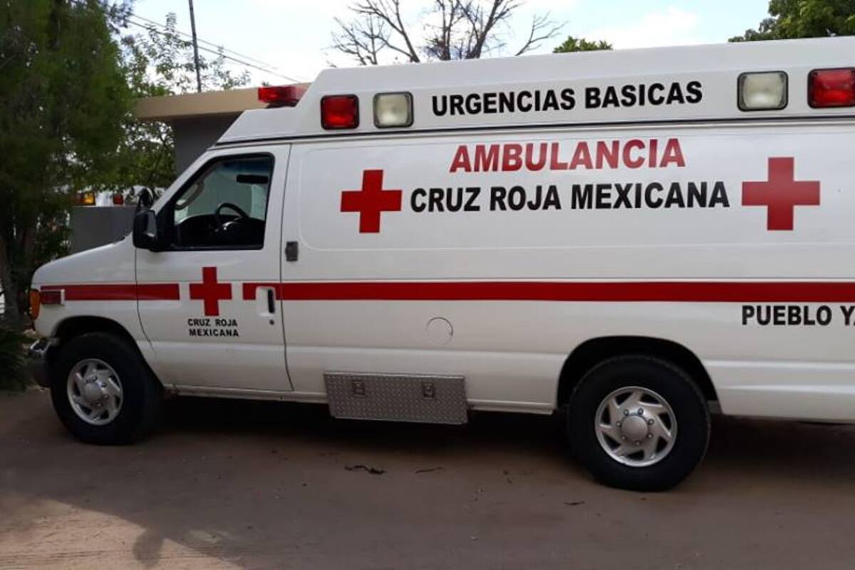 Abejas pican a 2 menores y 2 adultos en el Campo 5