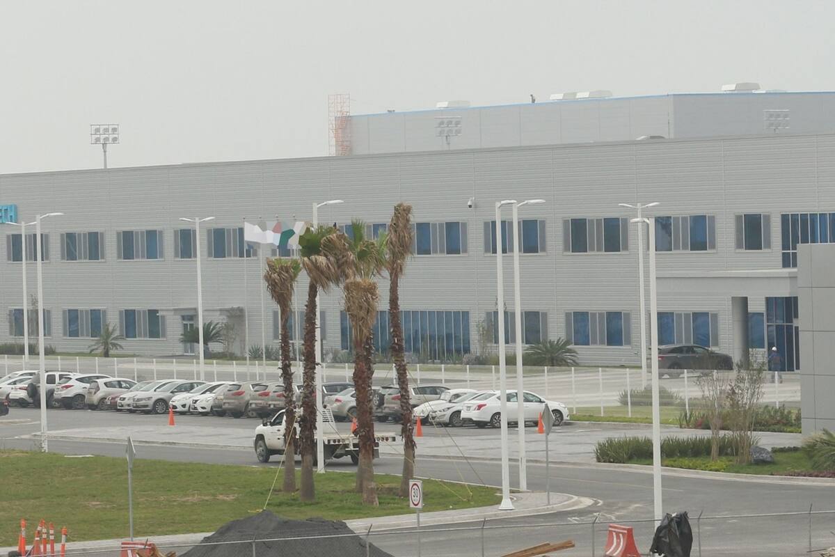 ‘Golondrinas’ afectan en BC a 3 mil: STPSBC