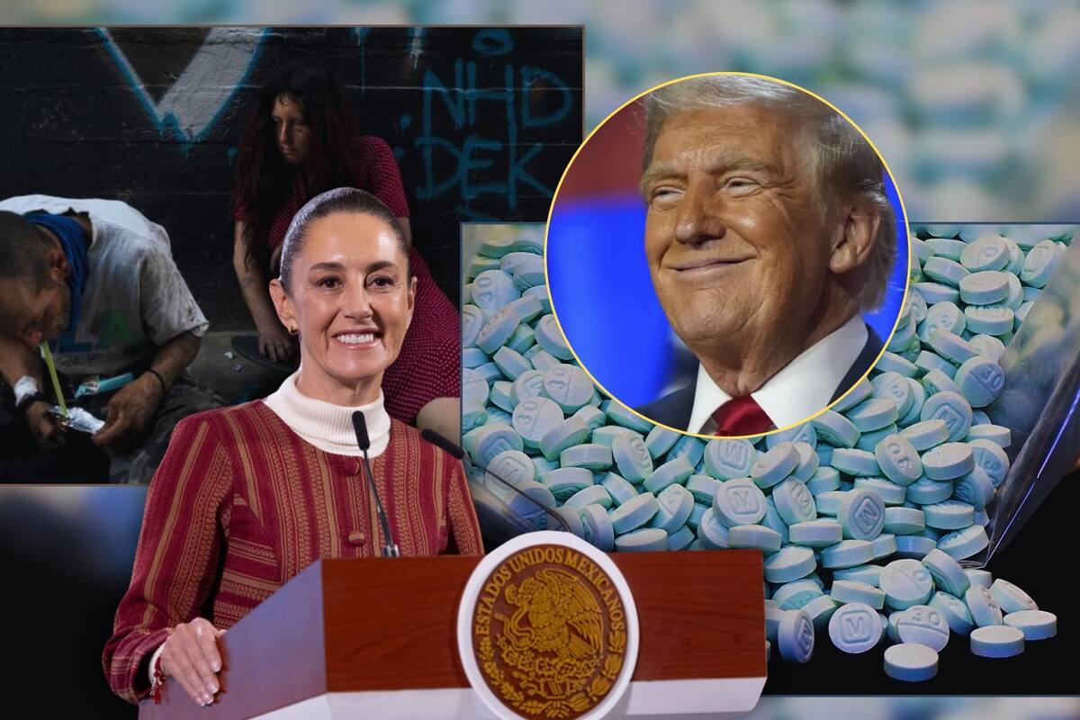La estrategia antidrogas de Claudia Sheinbaum que Donald Trump alabó y quiere aplicar para combatir crisis de fentanilo en Estados Unidos