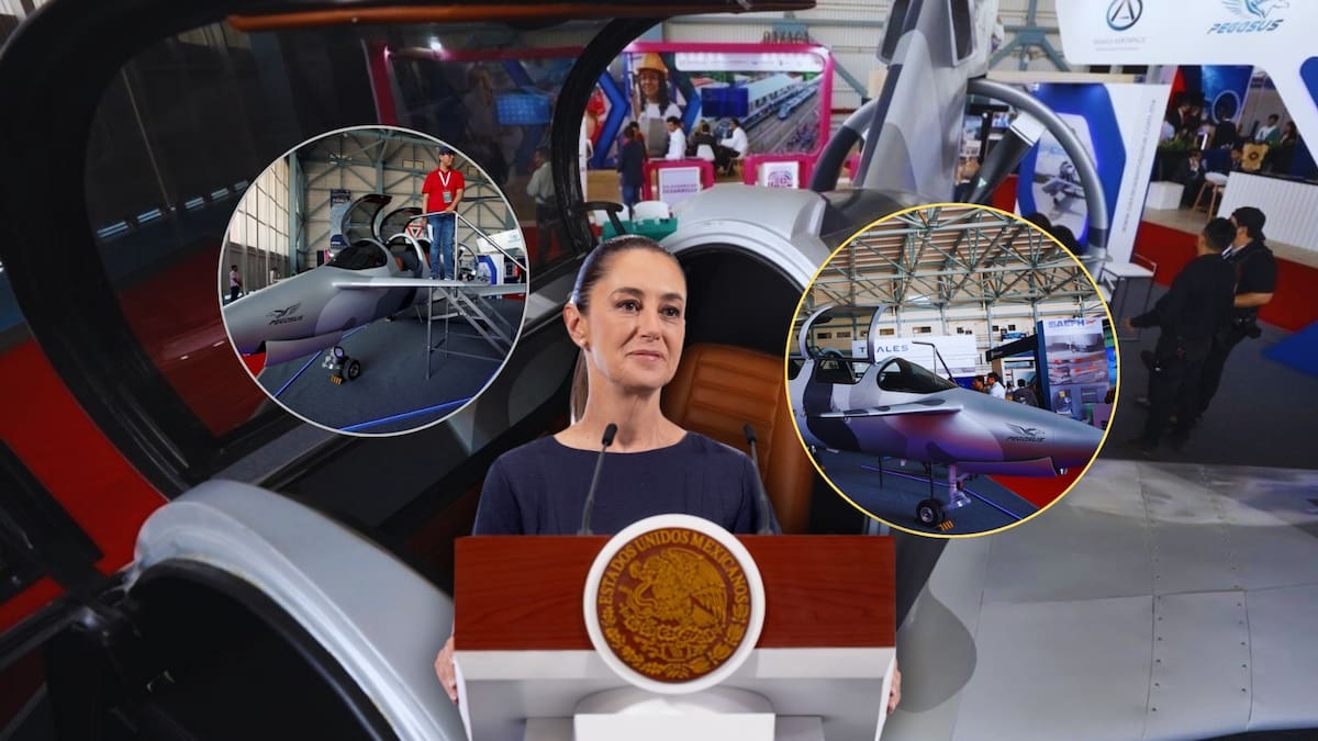 El Pegasus PE-210A, primer avión diseñado y fabricado 100% en México, será lanzado en 2026 y este será su costo; así luce