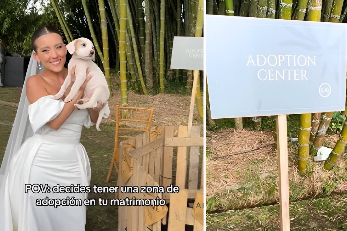 VIDEO: Veterinaria coloca zona de adopción de perritos en su boda