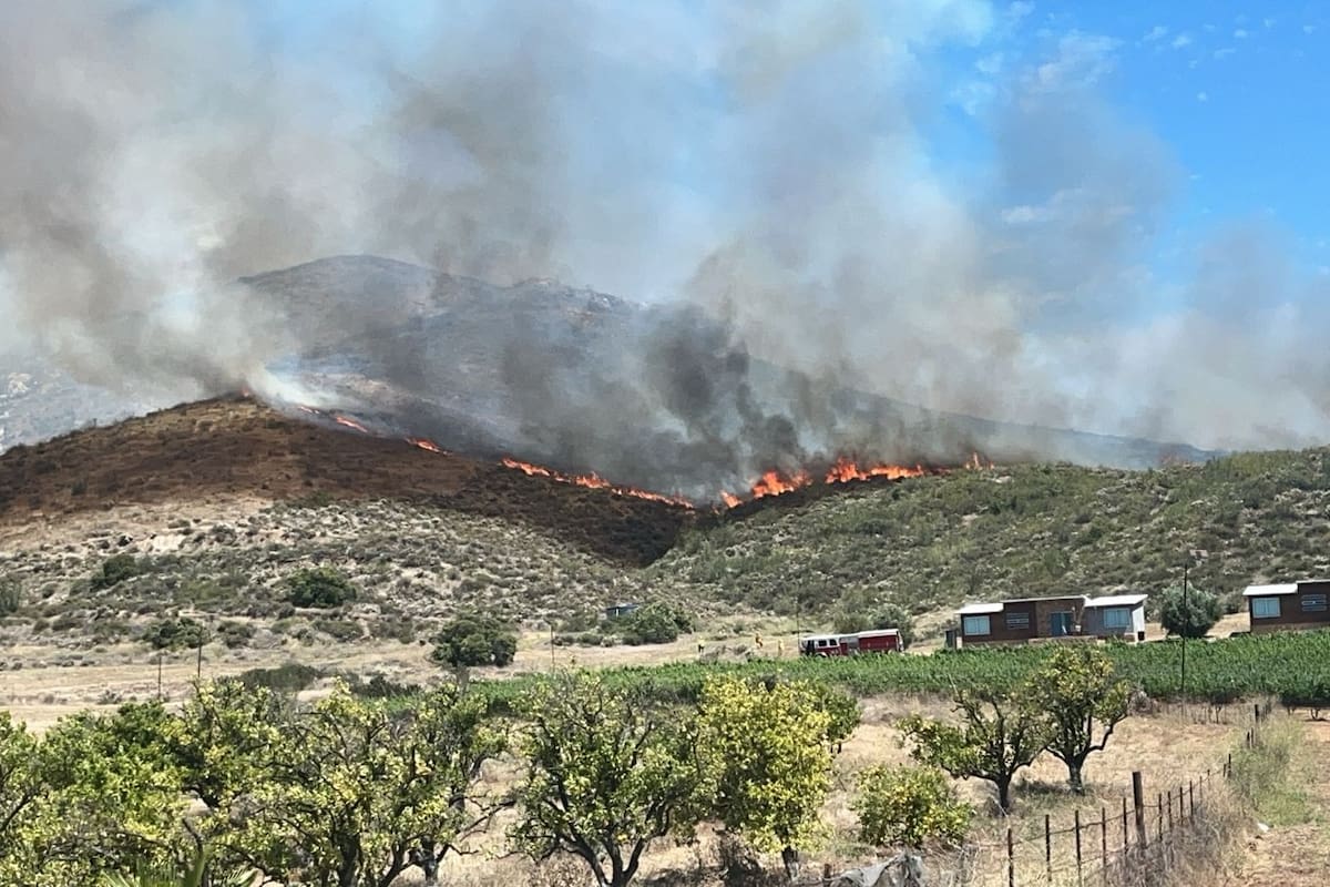 Incendio afecta más de 660 hectáreas en el Valle de Guadalupe