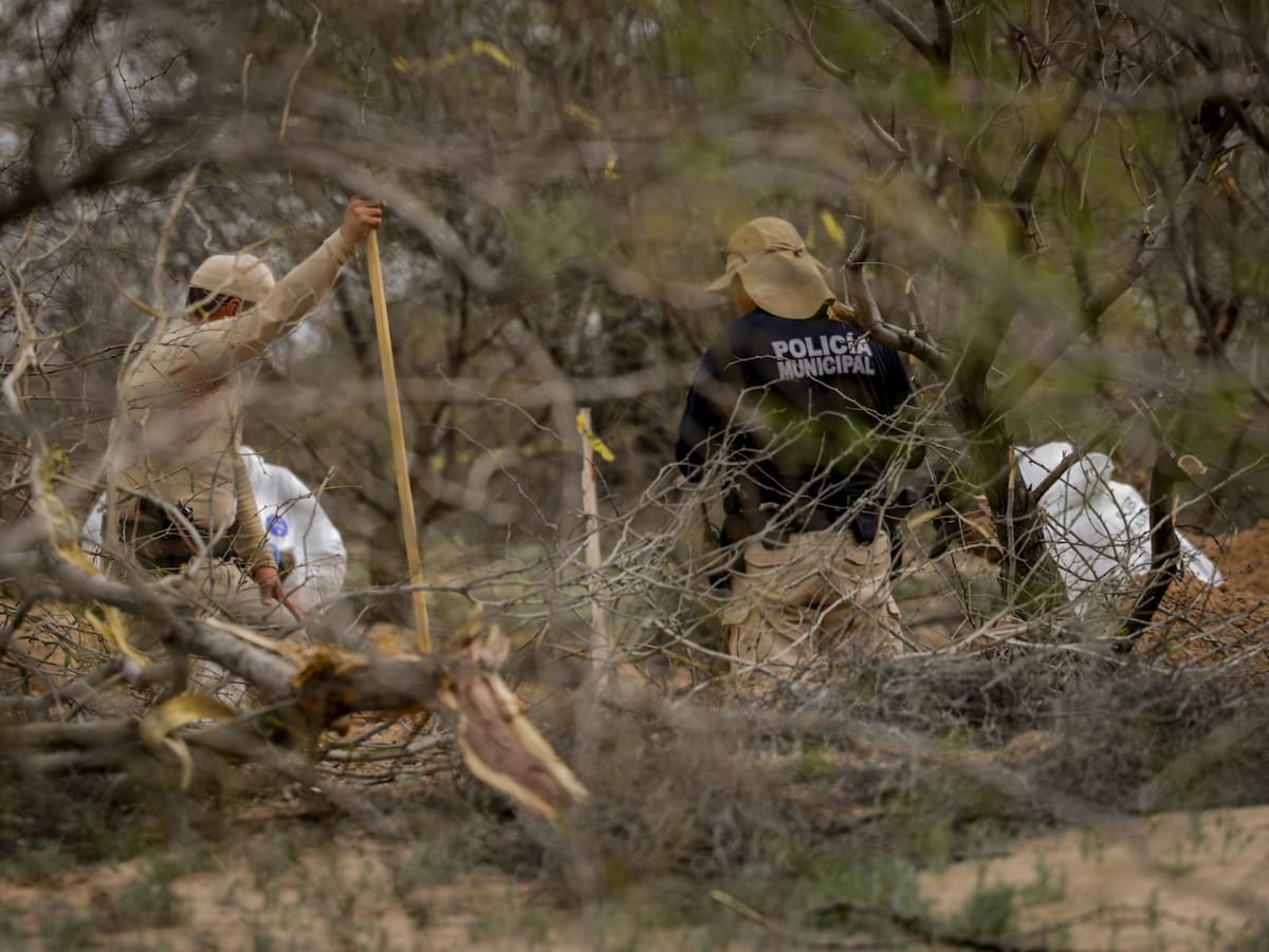 Un total de 23 cuerpos han sido localizados en las fosas clandestinas encontradas en la reserva ambiental de la colonia Miguel Alemán, pero sólo seis han sido identificados l Foto: Javier Gallegos