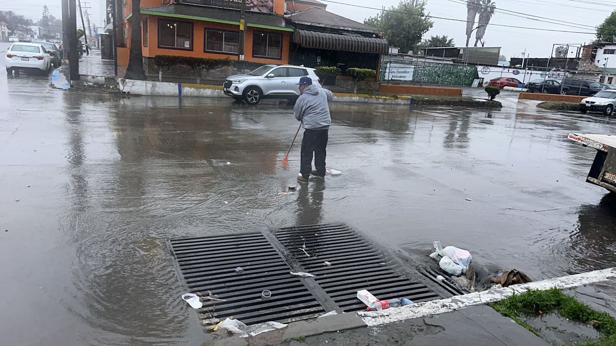 Piden evitar tirar basura o dejar bolsas con desechos en la vía pública.