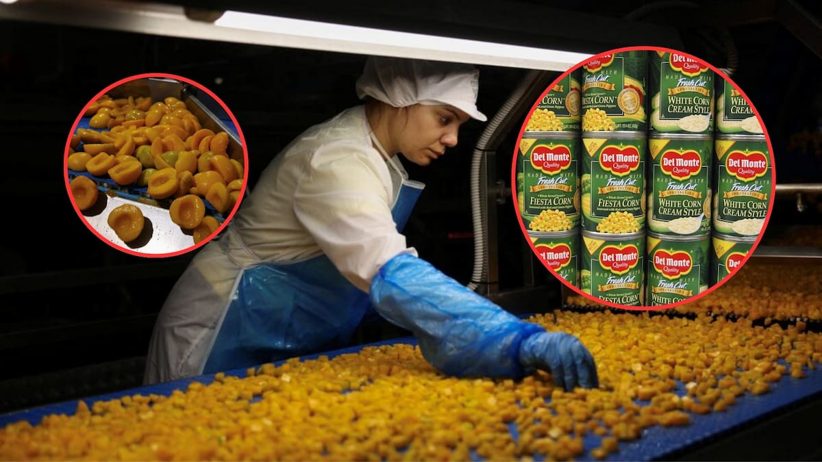 Más de 550 millones de dólares en pérdidas dejó el cierre y la quiebra de Del Monte Foods, afectando a más de 140 agricultores, cancelando contratos vigentes y dejando en incertidumbre la compra de miles de toneladas en la industria del durazno