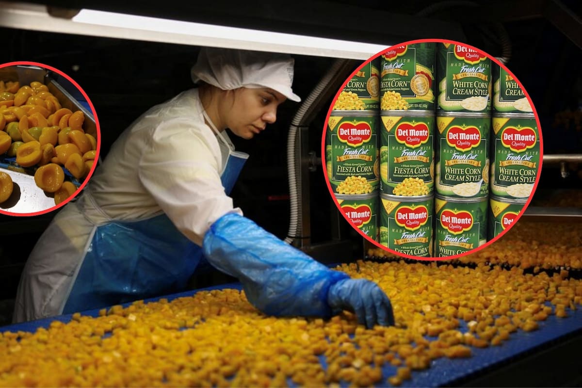 Más de 550 millones de dólares en pérdidas dejó el cierre y la quiebra de Del Monte Foods, afectando a más de 140 agricultores, cancelando contratos vigentes y dejando en incertidumbre la compra de miles de toneladas en la industria del durazno