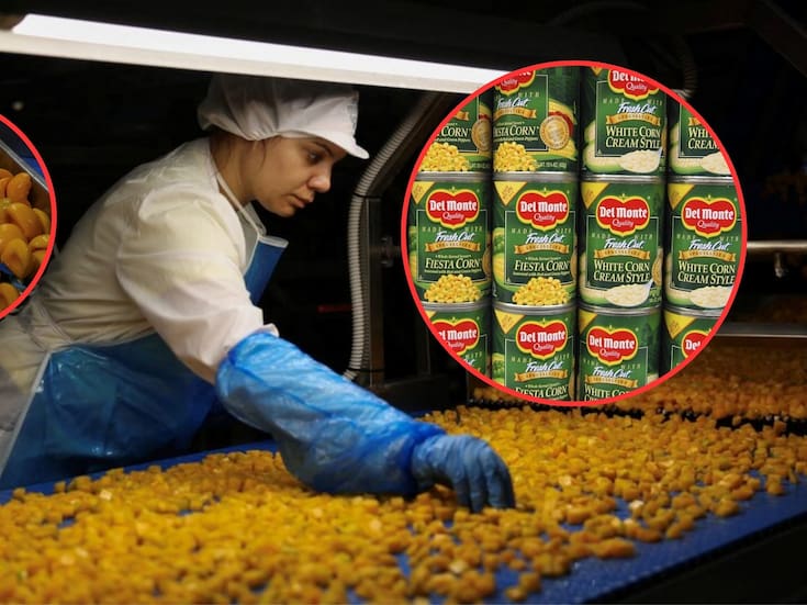 Más de 550 millones de dólares en pérdidas dejó el cierre y la quiebra de Del Monte Foods, afectando a más de 140 agricultores, cancelando contratos vigentes y dejando en incertidumbre la compra de miles de toneladas en la industria del durazno