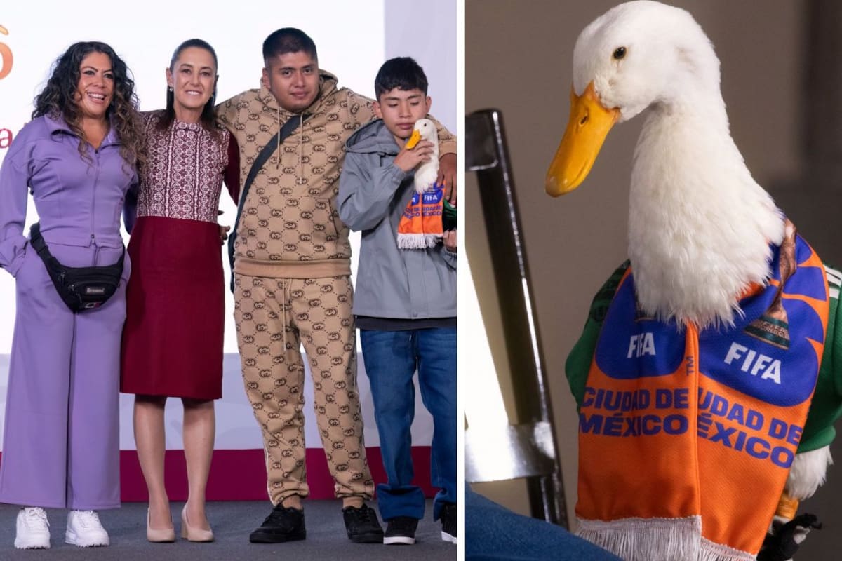Merlín, el pato, llega a la “mañanera” de Sheinbaum