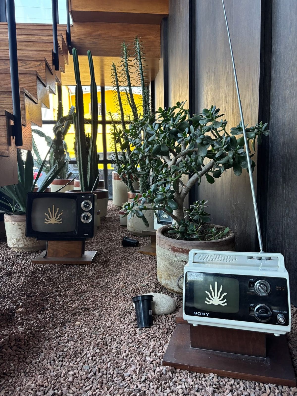 El programa ''Orquídeas y Cebollas''; promueve las bondades de los espacios construídos en San Diego y Tijuana con apoyo del CDT. Foto: Cortesía