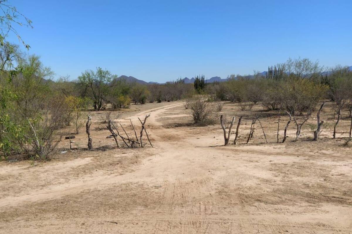Burlan filtro de acceso a Álamos