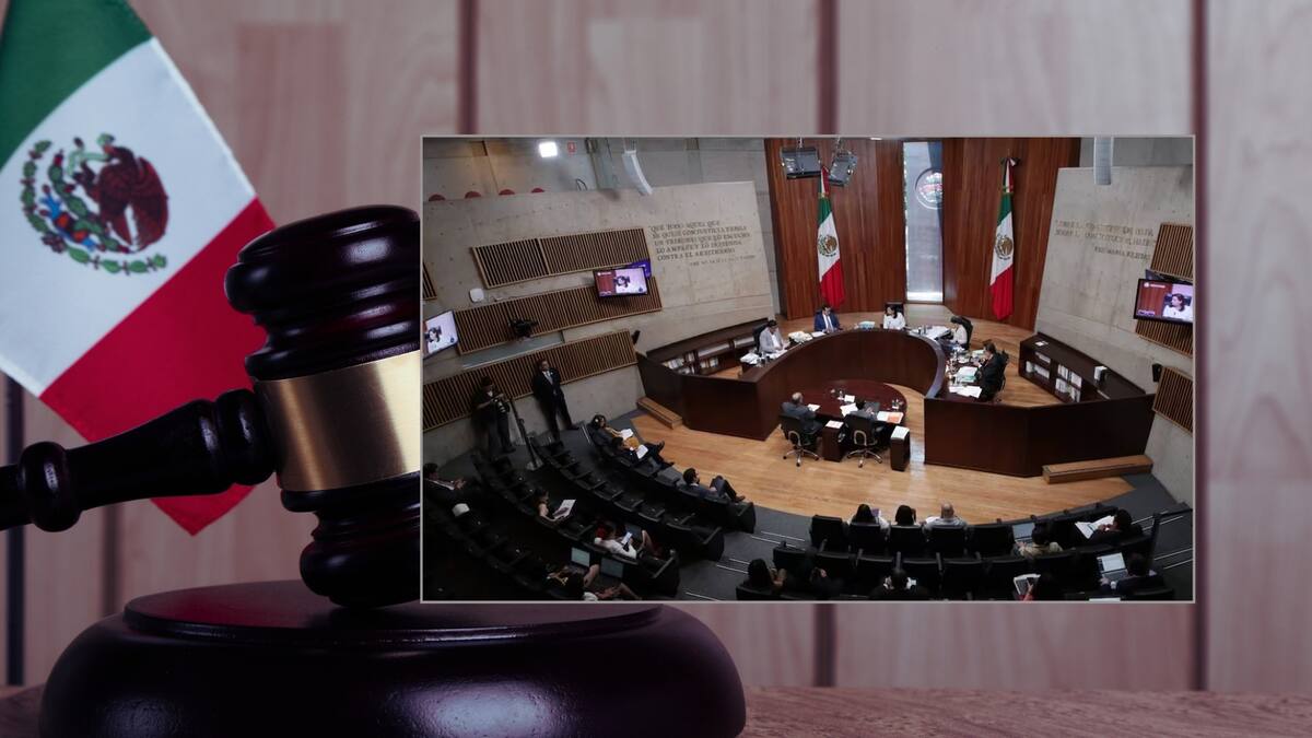 Tribunal Electoral avala continuidad de elección judicial extraordinaria. Foto: Especial (Ilustrativa y El Universal)