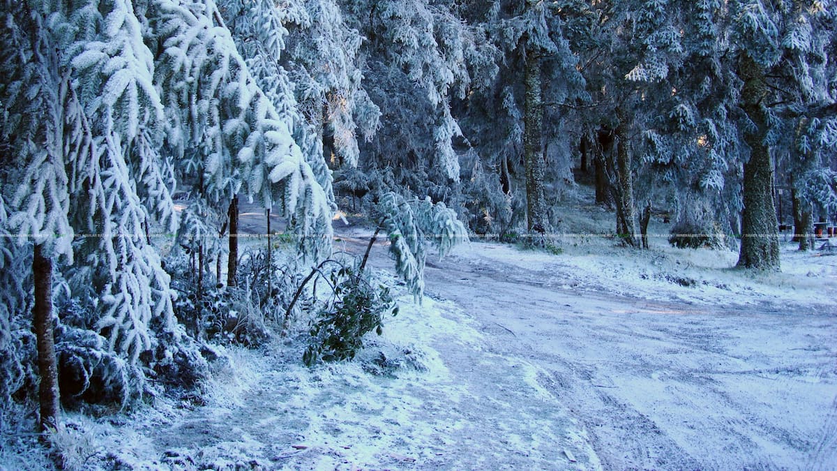 Mineral El Chico, Hidalgo. Foto: Internet (Mineral El Chico)