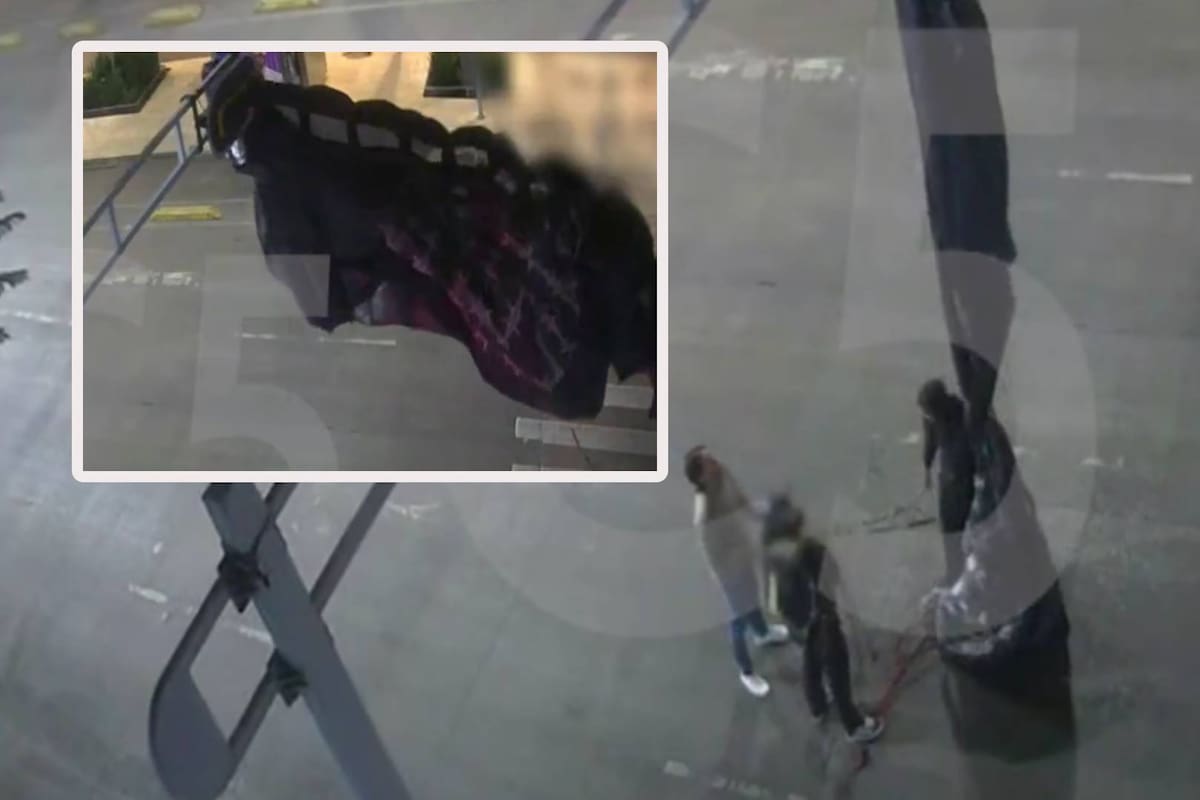 Paracaidista estadounidese queda atorado en un semáforo en CDMX luego de aventarse de una aeronave ultraligera; policía confirma que no hubo lesionados