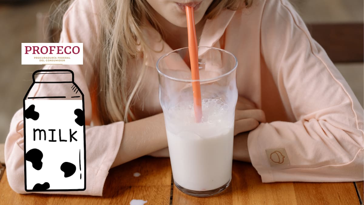 Un análisis de Profeco revela que esta leche es la opción más nutritiva, pero pocos la eligen. ¿Por qué? Foto: Canvas