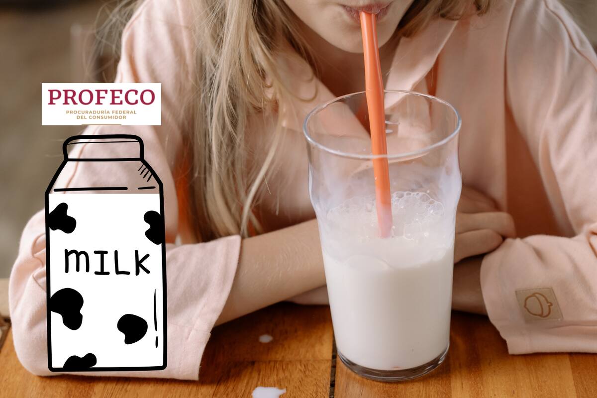 Esta es la leche que nadie compra, pero es la más nutritiva, según Profeco