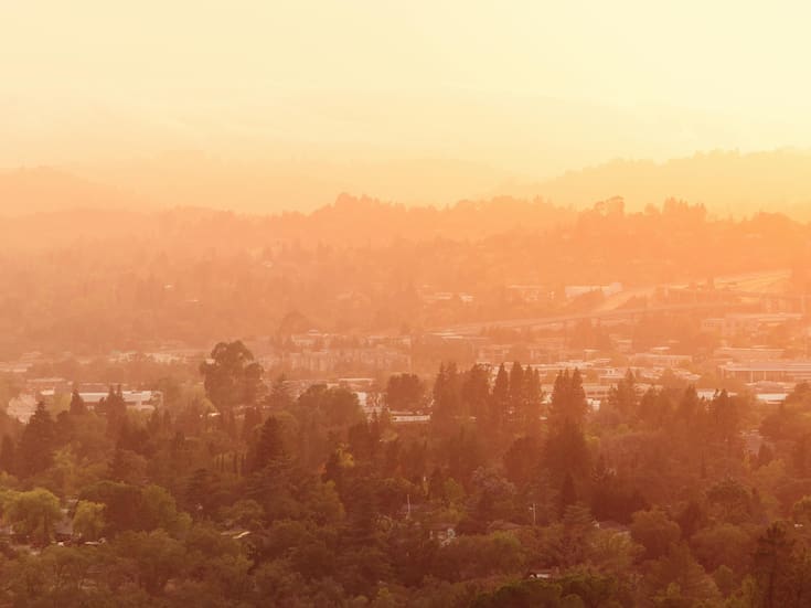 Contaminación del aire podría aumentar el riesgo de lupus y artritis reumatoide, advierte estudio