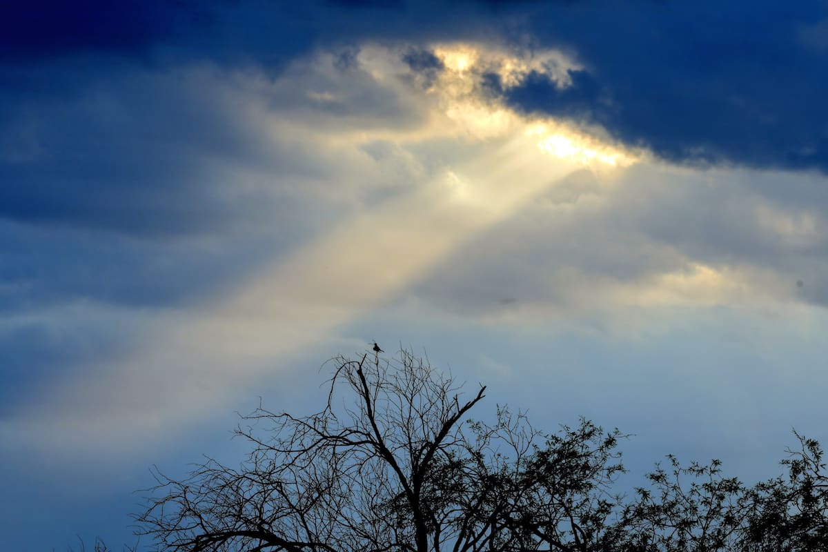 Una baja presión aumentará la nubosidad y favorecerá lluvias en el norte de Sonora durante las próximas horas, principalmente entre Puerto Peñasco, Santa Ana y Nogales