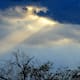 Baja presión mantiene vientos y trae lluvias hoy a Sonora