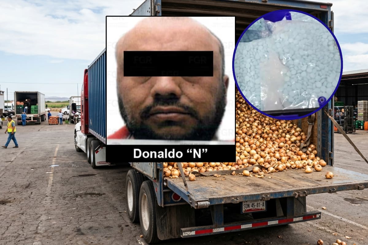 Llevaba 200 kilos de droga entre cebollas pero así lo descubrieron y lo sentencian a 8 años de cárcel