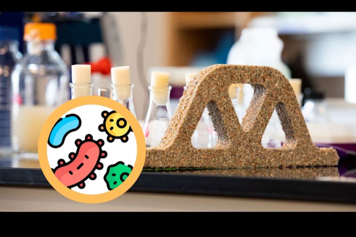 Materiales vivos: la apuesta de la ciencia para revolucionar la construcción