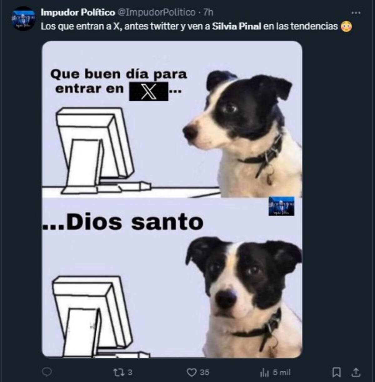 Silvia Pina es tendencia en X / Cuenta de X: @ImpudorPolitico