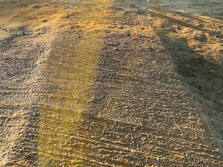 Limpian alcantarillas de San Quintín para evitar afectaciones en próximas lluvias