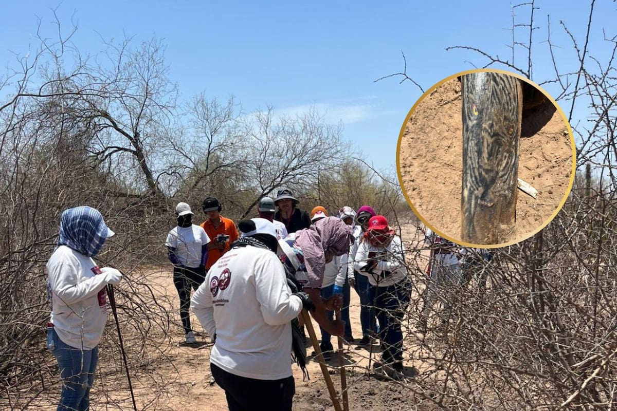 El colectivo Madres Buscadoras de Sonora informó el hallazgo de dos cuerpos sin vida este sábado 12 de julio en el Poblado Miguel Alemán. Foto: Facebook Madres Buscadoras de Sonora