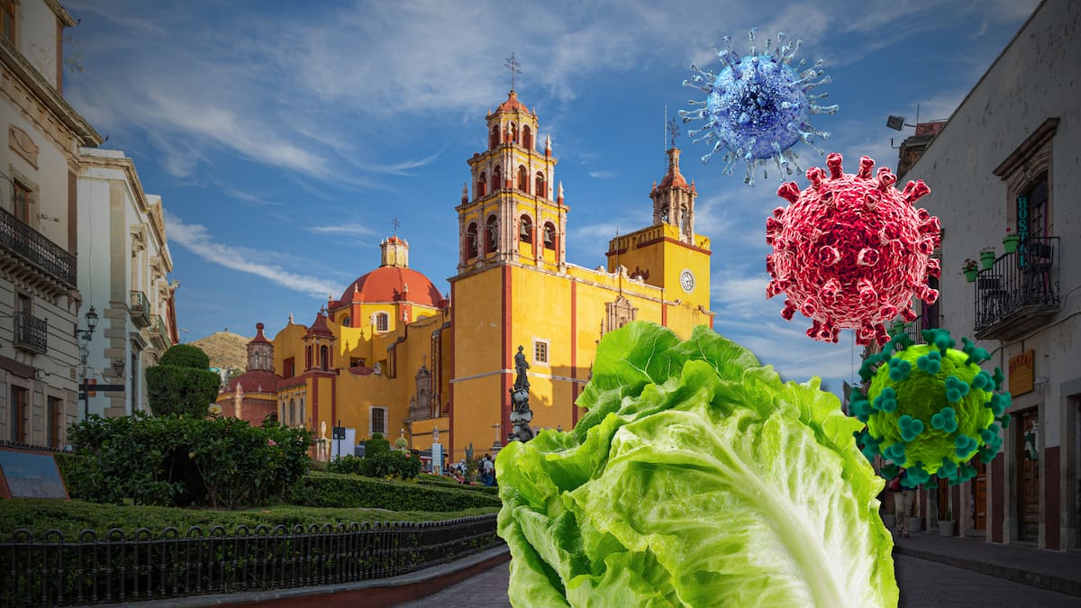 Secretaría de Salud descarta hasta ahora presencia de Cyclospora en lechugas de Guanajuato y mantiene investigaciones en 16 hoteles de Quintana Roo por reportes internacionales