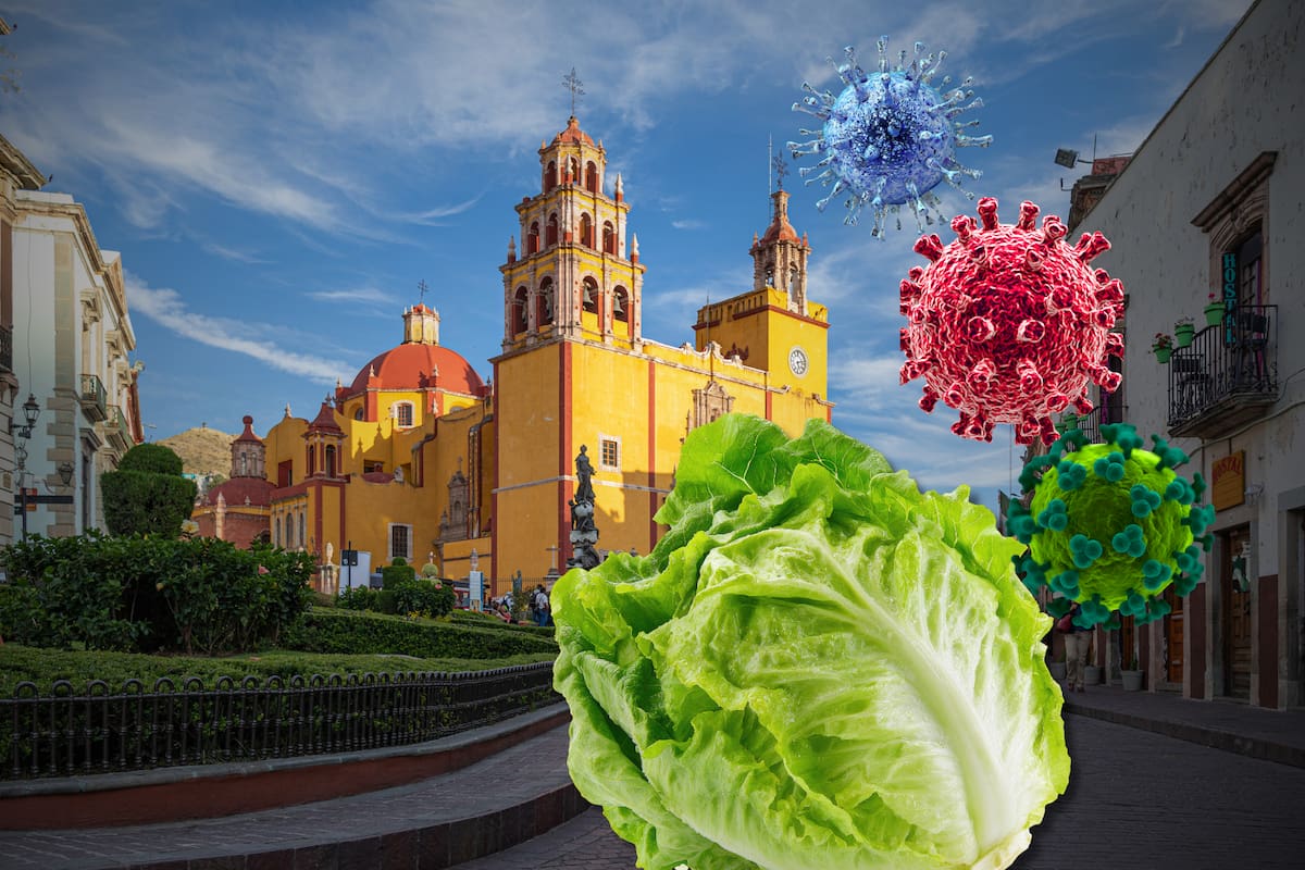 Secretaría de Salud descarta hasta ahora presencia de Cyclospora en lechugas de Guanajuato y mantiene investigaciones en 16 hoteles de Quintana Roo por reportes internacionales