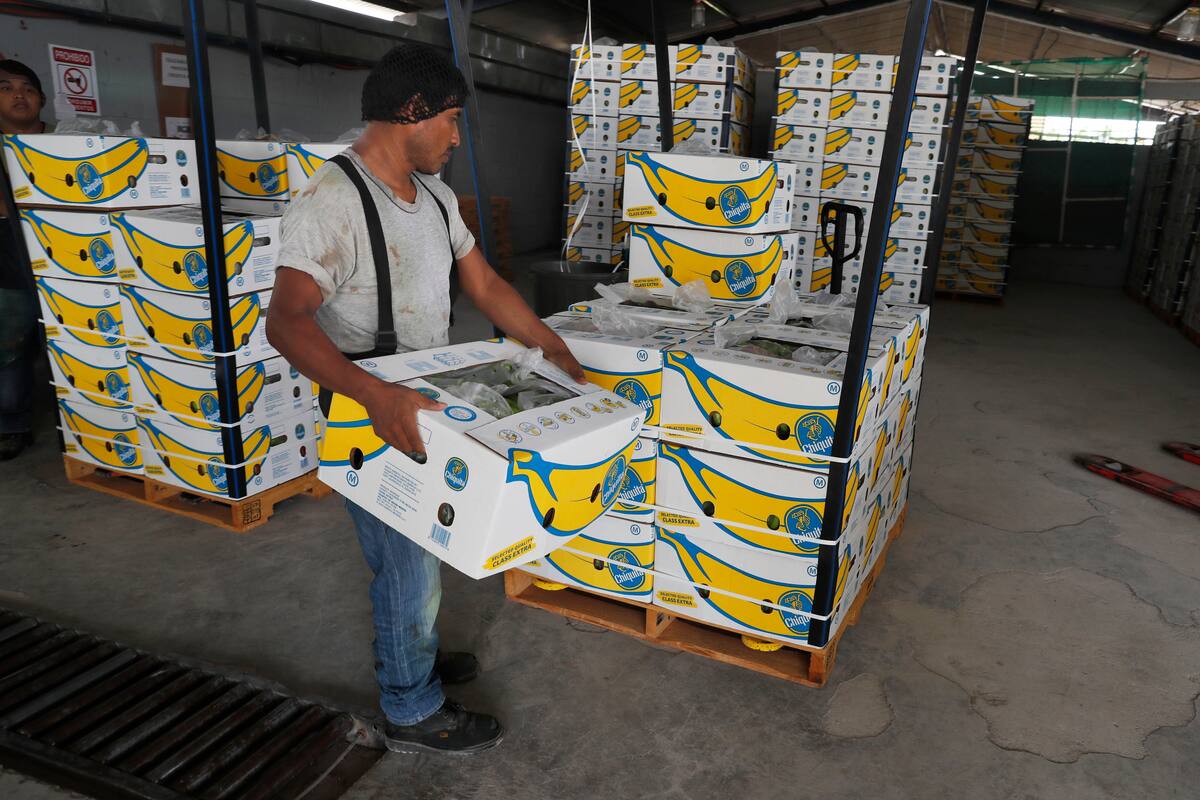 México comienza diálogo con EU sobre aranceles