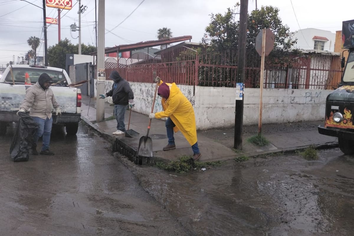 Refuerzan cuadrillas desazolve de alcantarillas pluviales en Ensenada