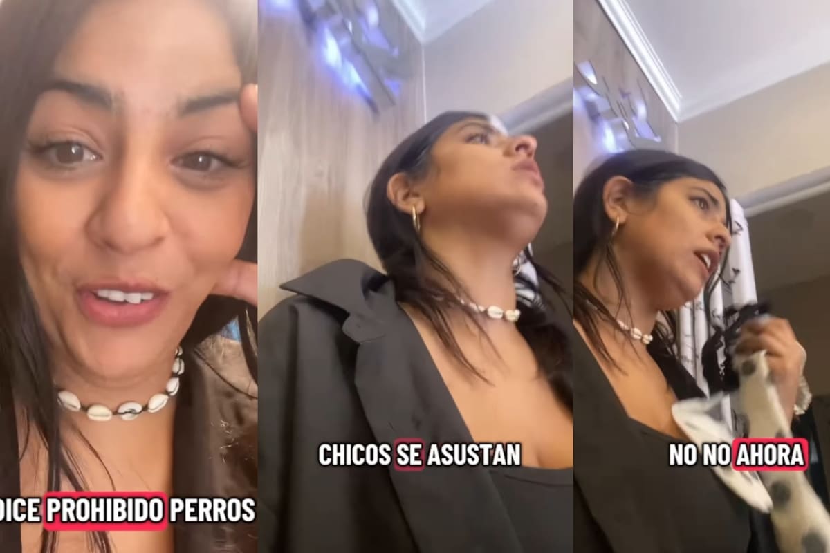 “Y yo que tenía un letrero en el local de ‘no se admiten perros’.”: vendedora muestra el conflicto que tuvo con una madre y su hijo, quien se identifica como therian