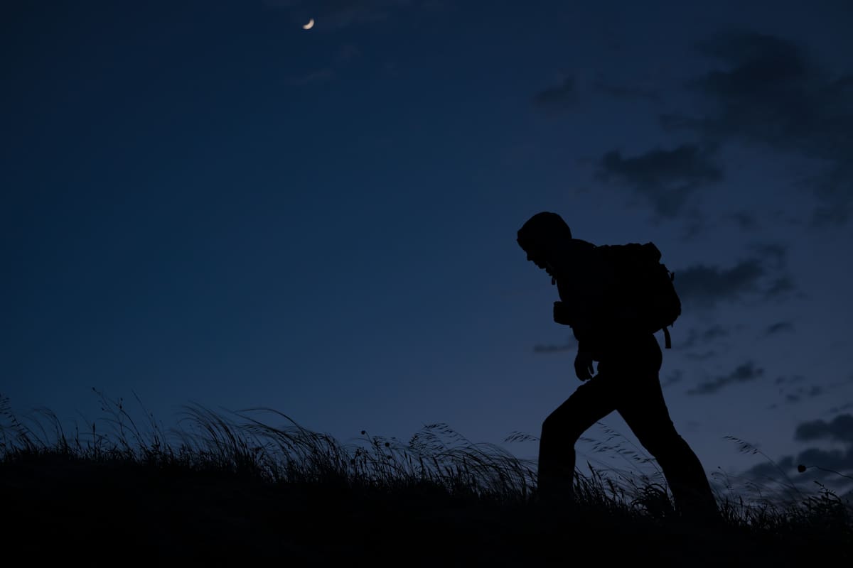Explora el desierto y vive una caminata distinta bajo el cielo nocturno en Arizona